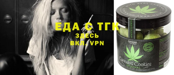 индика Горнозаводск
