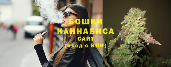 индика Горнозаводск