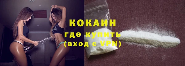 твердый Вяземский