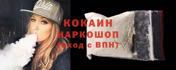 индика Горнозаводск