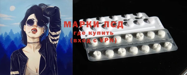 индика Горнозаводск