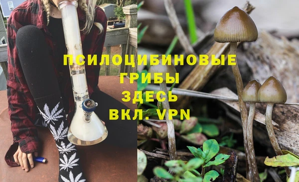 первитин Горно-Алтайск