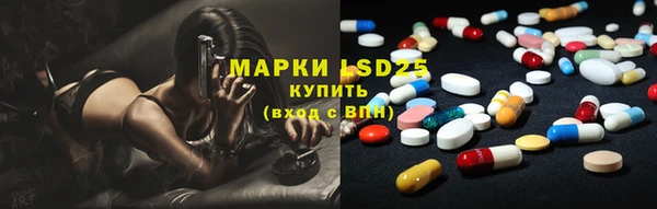 индика Горнозаводск