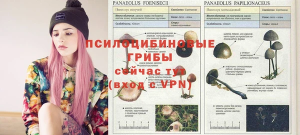 индика Горнозаводск