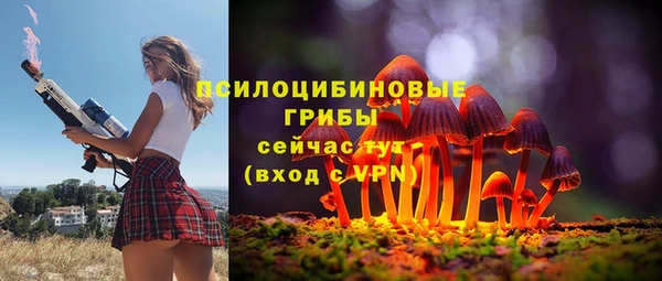 твердый Вяземский