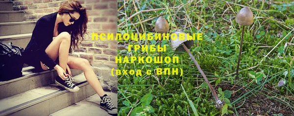 индика Горнозаводск