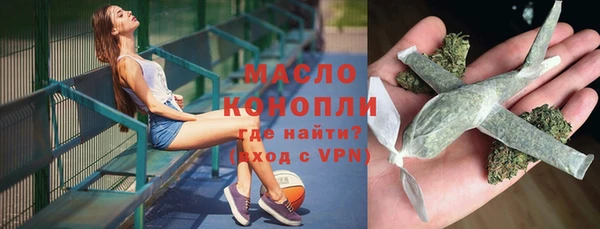 индика Горнозаводск
